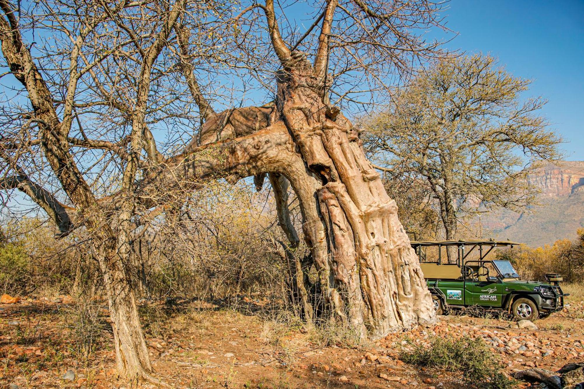 African Dream Tour Hoedspruit Bagian luar foto